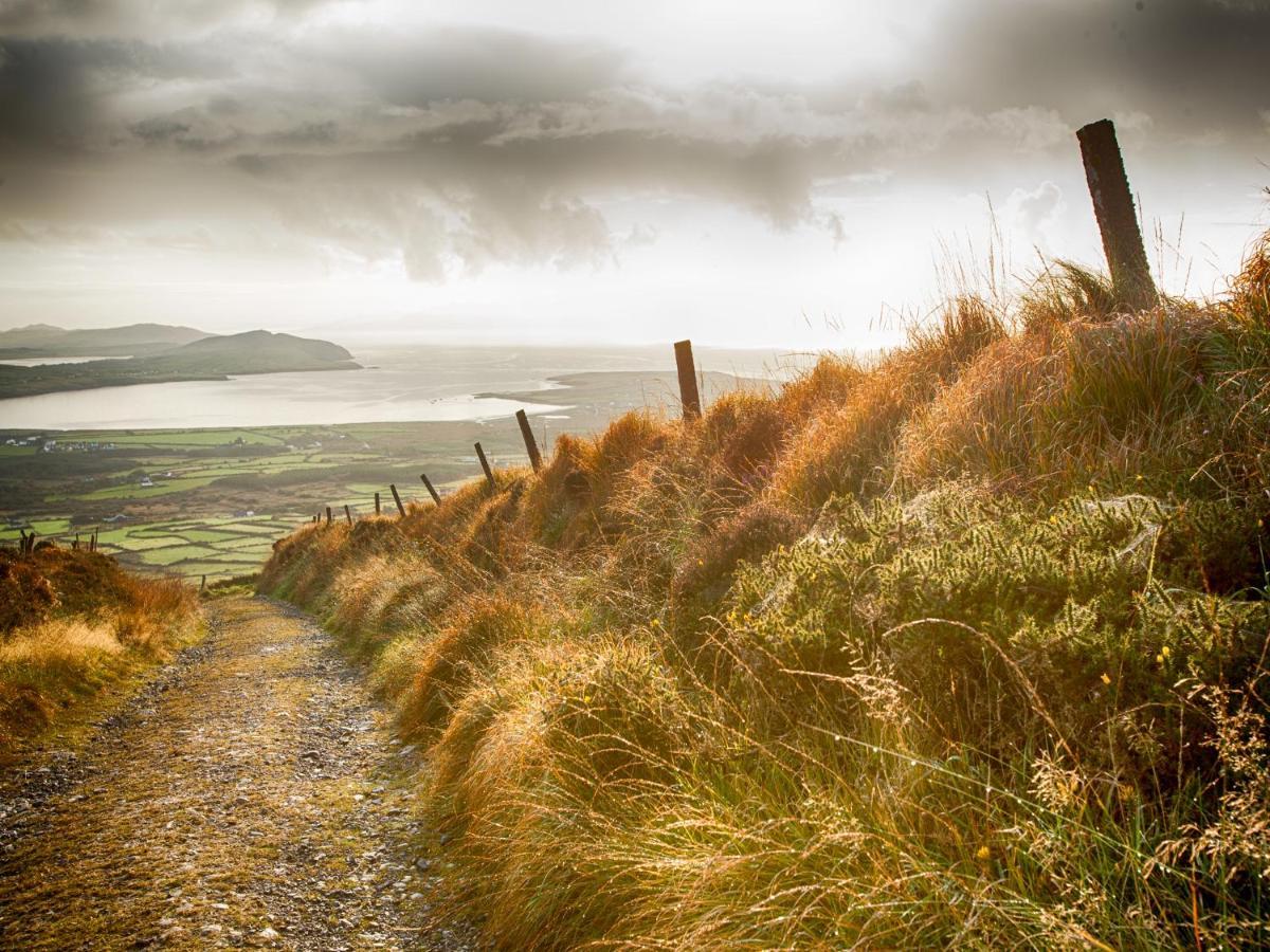Baywatch B&B Dingle Zewnętrze zdjęcie
