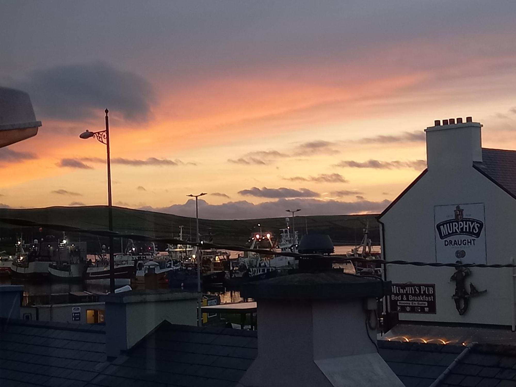 Baywatch B&B Dingle Zewnętrze zdjęcie