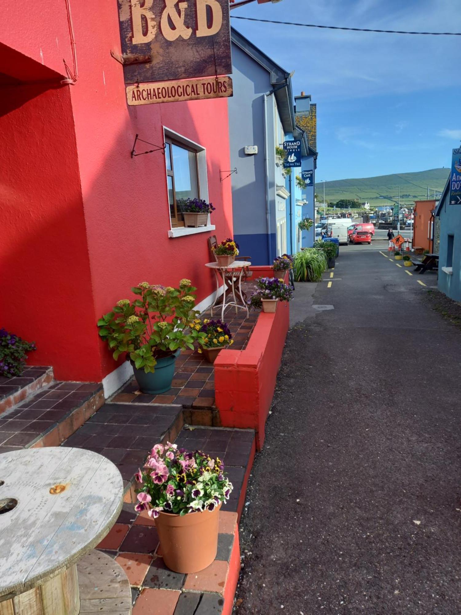 Baywatch B&B Dingle Zewnętrze zdjęcie