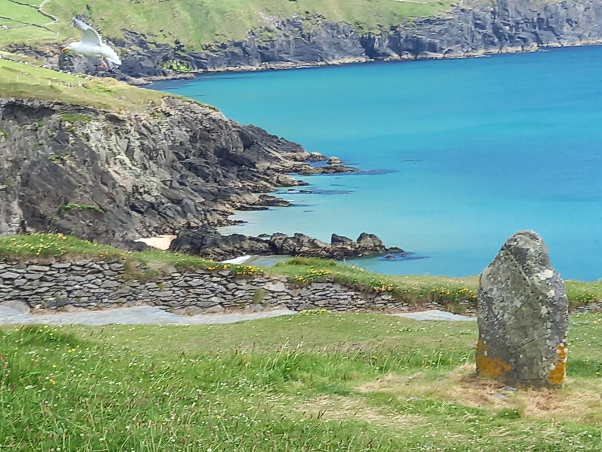 Baywatch B&B Dingle Zewnętrze zdjęcie